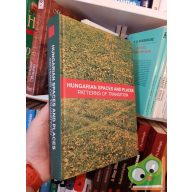 Hungarian Spaces and Places: Patterns of Transition