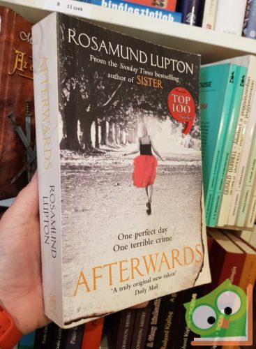 Rosamund Lupton: Afterwards 