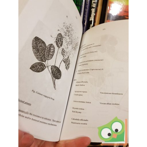Prof. Dr. Gizella Petri: Phytotherapy in the Medicine