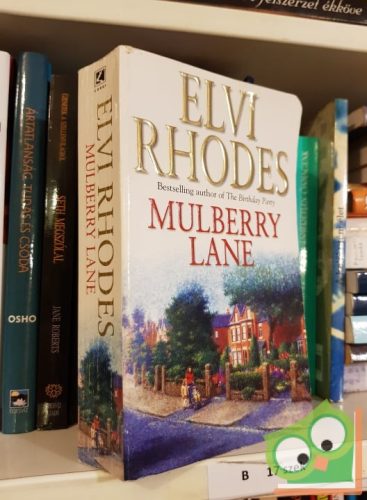 Elvi Rhodes: Mulberry lane