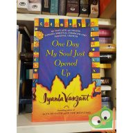   Iyanla Vanzat: One Day My Soul Just Opened Up: 40 Days and 40 Nights Toward Spiritual Strength and Personal Growth