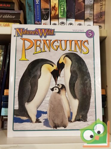 Nature's Wild 5 - Penguins