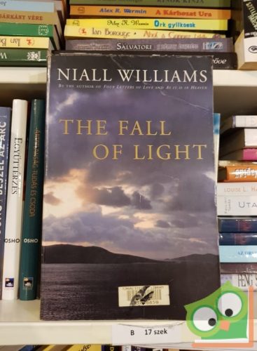Niall Williams: The falls of light