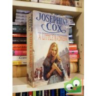 Josephine Cox: A Little Badness