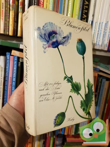 Ilsa Felsko: Blumenfibel  (Ritka!)