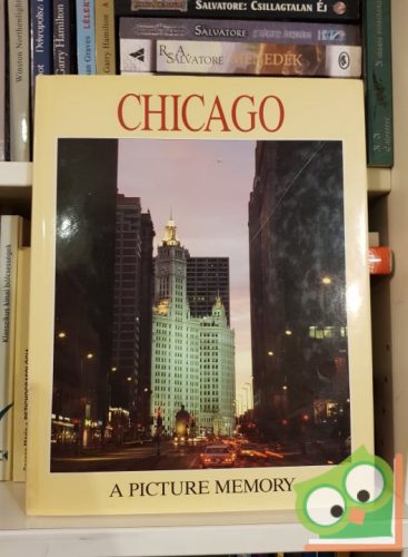 Bill Harris: Chicago - A Picture Memory