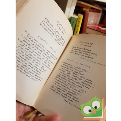 Edgar Allan Poe összes versei