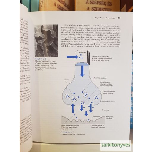 Grusec, Lockhart, Walters: Foundations of psychology