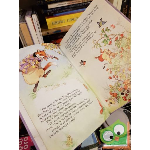 Joel Chandler: More Brer Rabbit Stories 
