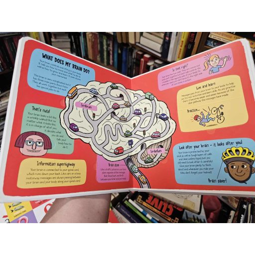 Ruth Martin, Allan Sanders: My Amazing Body (Little explorers)