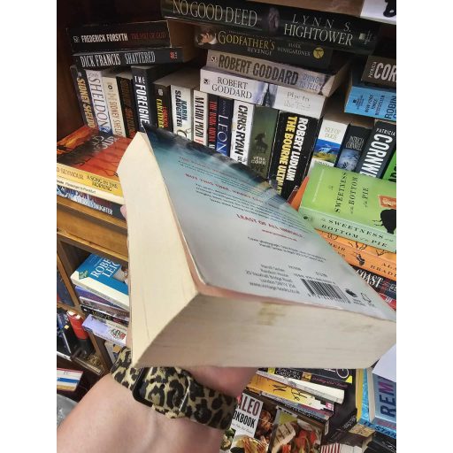 Jo Nesbø: Police  (Harry Hole 10.)