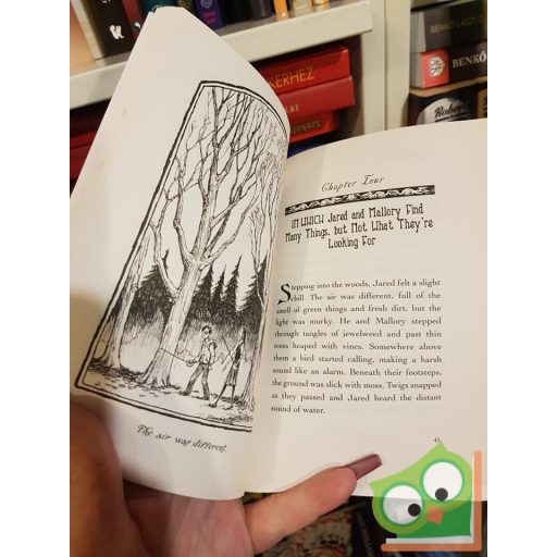 Holly Black, Tony DiTerlizzi: The Seeing Stone (The Spiderwick Chronicles 2. )