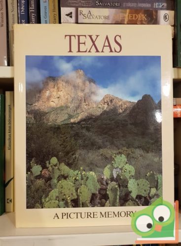 Bill Harris: Texas - A Picture Memory