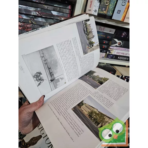 Marossy Endre: 1956 - Fiadnak hagyd örökül