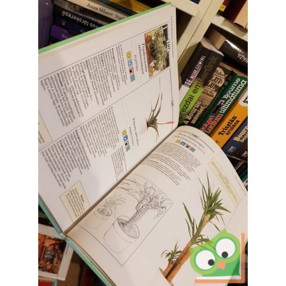 Richard Gilbert: 200 kedvelt szobanövény termesztése és ápolása