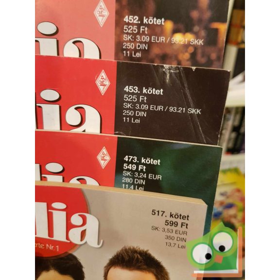 4 db-os Júlia füzet (452, 453, 473, 517)