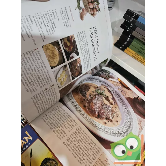 Lajos Mari - Hemző Károly: 66 húsétel (ritka)