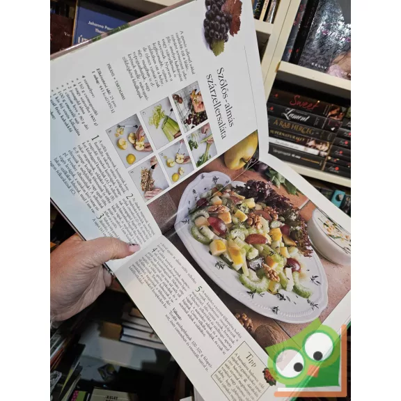 Lajos Mari - Hemző Károly: 66 saláta