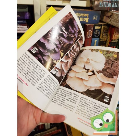 Dr. Rimóczi Imre: 88 színes oldal a leggyakoribb gombákról (sorozat)