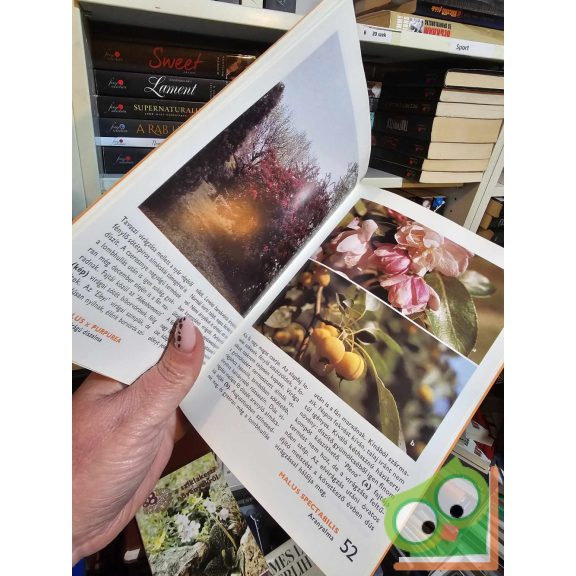 Schmidt Gábor: 88 színes oldal a díszfákról