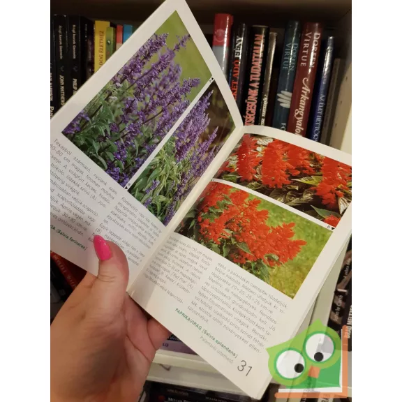 Szántó Matild: 88 színes oldal az egy- és kétnyári virágokról