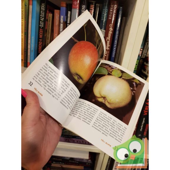 Bödecs - Tomcsányi - Majoros: 88 színes oldal a gyümölcsfajtákról Almagyümölcsűek és bogyósok