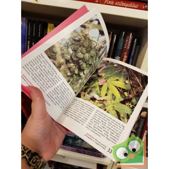 Sulyok Mária: 88 színes oldal a lakás, a télikert és az üvegház növényeiről