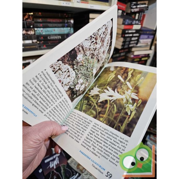 Wertán Zsolt - Rátz Ilona: 88 színes oldal a sziklakerti növényekről