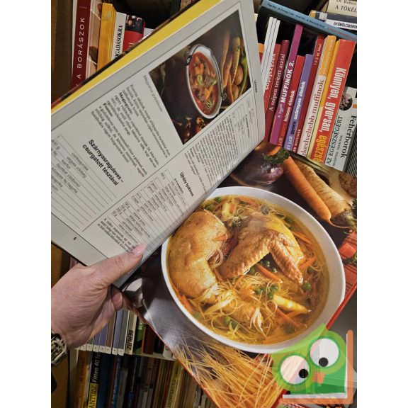 Lajos Mari, Hemző Károly: 99 magyaros étel 33 színes ételfotóval (99 recept 33 színes ételfotóval)