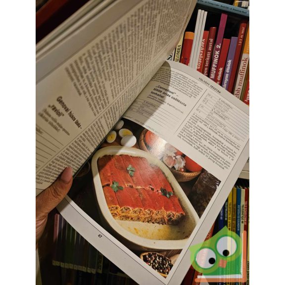 Lajos Mari, Hemző Károly: 99 pizza és tészta 33 színes ételfotóval (99 recept 33 színes ételfotóval)