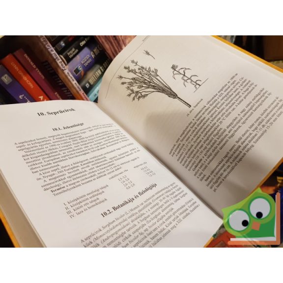 Antal József(szerk): Gyökér- és gumósnövények / Hüvelyesek / Olaj- és ipari növények / Takarmánynövények (Növénytermesztéstan ​2. ) (Ritka))