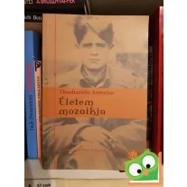 Életem mozaikja