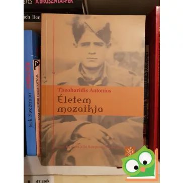 Életem mozaikja
