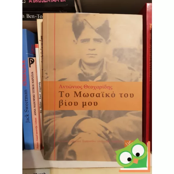 Életem mozaikja