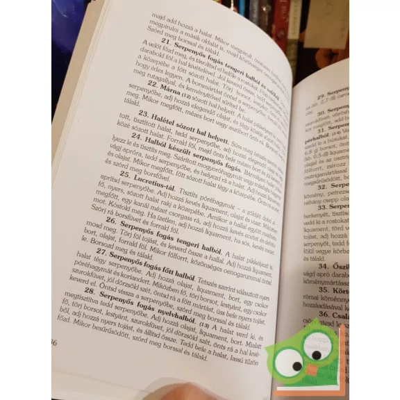 Marcus Gavius Apicius: Ókori római szakácskönyv