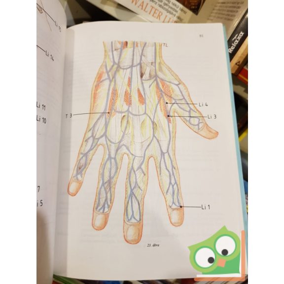 Hrabovszki Mihály, Rédey Tibor: Az akupunktúra alapjai I.