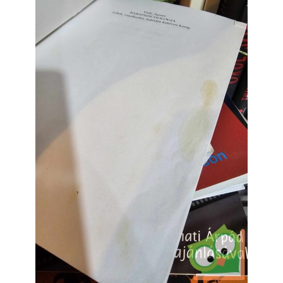 Vida Ágnes: Babapszichológia