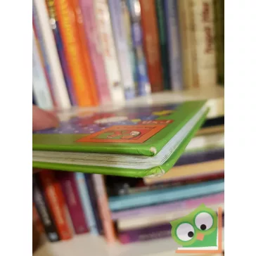   Bartos Erika: Bogyó és babóca zenél (Bogyó és Babóca 7.)