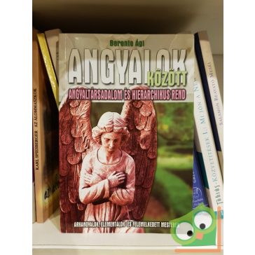   Berente Ági: Angyalok között  - Angyaltársadalom és hierarchikus rend