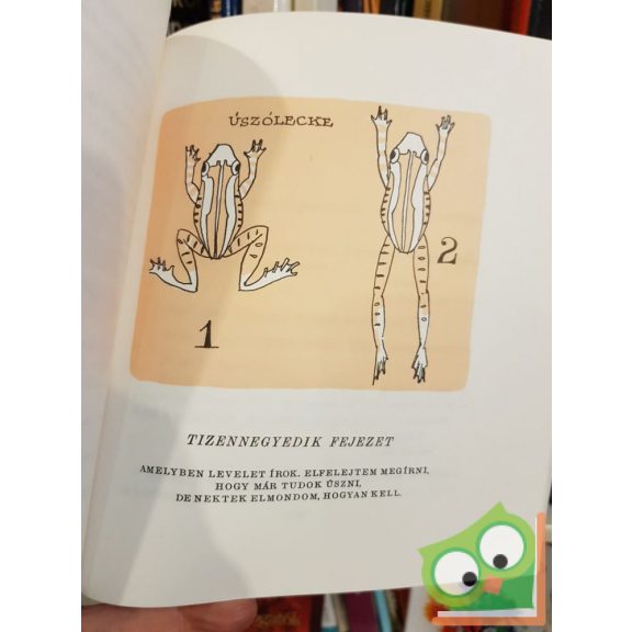 Bodó Béla: Brumi a Balatonon