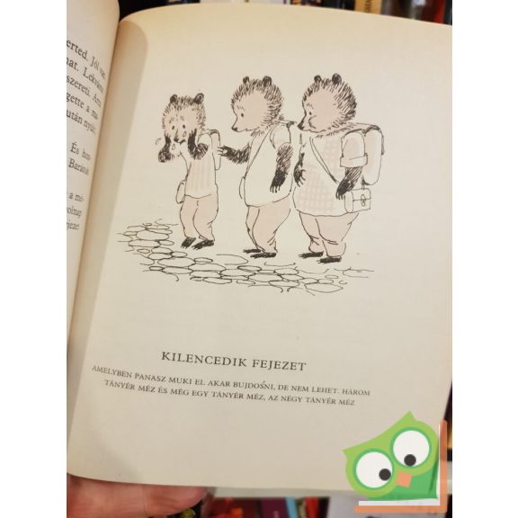 Bodó Béla: Brumi az iskolában