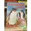 Charlie Bood: A természet csodái 2 - Az állatvilág képekben