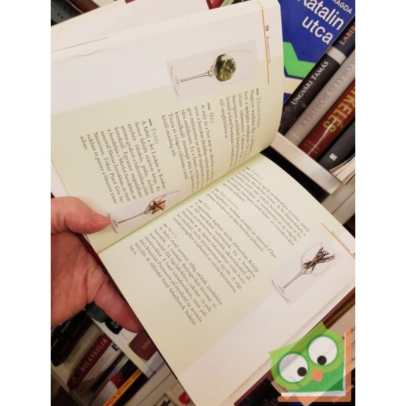 Christina Fischer: A bor világa - A külföld borai