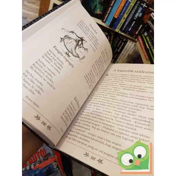 Bozsik Rozália: A ​Hold kertje – Versek, mesék 5-7 éveseknek