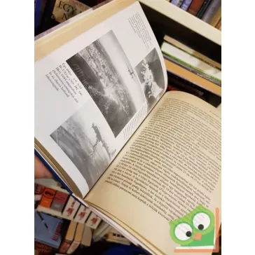 Chaz Bowyer: Légi Háború Európában 1939-1945