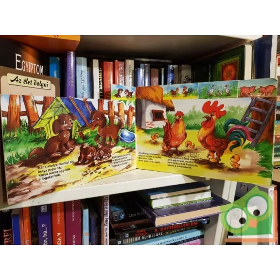 Juhász Magda: Cicák, kutyák, kiscsibék - Állatcsaládok falun (Leparelló)