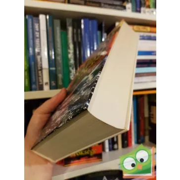 Colleen McCullough: Morgan szerencséje