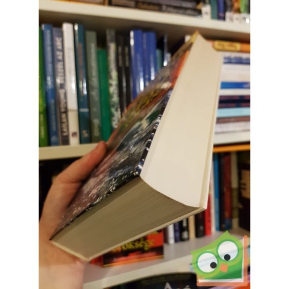 Colleen McCullough: Morgan szerencséje