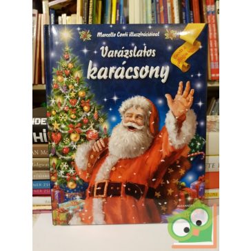 Varázslatos karácsony - Csoda a csillagos égen