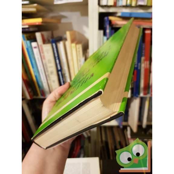 Csáki Frigyes: Fejezetek a szabályozástechnikából (Állapotegyenletek)